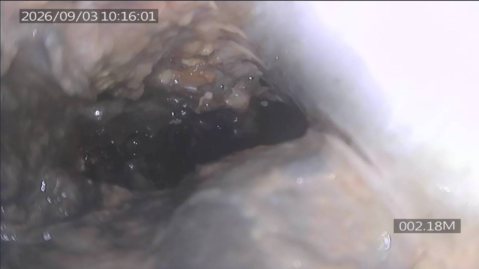 성남 하수구막힘 — 안 해도 되면 안 합니다 2.18m 지점. 배관 벽에 기름이 붙어 굳어 있어요.